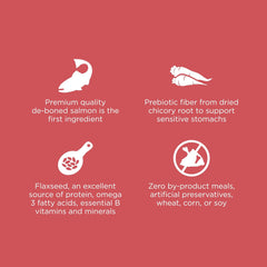 Go! Solutions Sensitivities Limited Ingredient, Grain-Free Dry Cat Food, Salmon Recipe for Sensitive Stomach