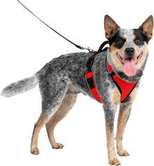 PetSafe EasySport Dog Harness – Adjustable Padded Dog Harness with Control Handle and Reflective Piping