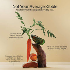 Now Fresh Grain-Free Premium Dry Dog Food with Lamb & Pork, Healthy Kibble for Adults Made with Real Red Meat, Chicken-Free Recipe, Enhanced with Pumpkin & Probiotics for Good Digestion, 22 lb Bag