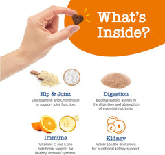 Zesty Paws Senior Dog Multivitamin Treats - Glucosamine for Dogs + Digestive Enzymes & Probiotics - Grain Free Dog Vitamins and Supplements for Skin & Coat + Immune Health Chicken - Advanced - 90ct