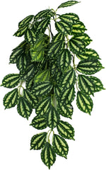 Multi Pet 48593302: Komodo Two-Toned Leaf Hanging Plant, Sm