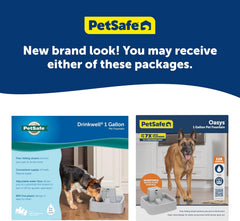 PetSafe Oasys 1 Gallon (128 Ounce) Medium Pet Fountain - Cat or Medium Breed Dog Water Fountain - Dishwasher Safe Filtered Water Dispenser with Flow Control - Filters Included - Easy to Clean