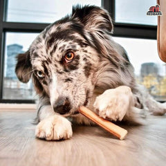 Redbarn Straight Bully Sticks - Long Lasting Dog Chew, All Natural & Odorless Bully Bones
