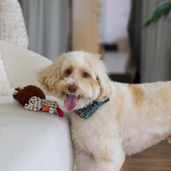 SPOT Gigglers Chicken Dog Toy with Giggle Sound, Textured Plush Tug Toy with Rope Legs, 12" for Small and Medium Dog Breeds