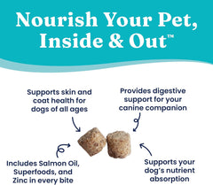 Solid Gold Healthy Dog Treats - Functional Dog Treats for Training + Skin & Coat Health - Peanut Butter Flavor with Salmon Oil Healthy Training Treats for Dogs 5.2-oz