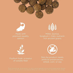 Go! Solutions Digestion + Gut Health, Dry Dog Food, Salmon Recipe with Ancient Grains