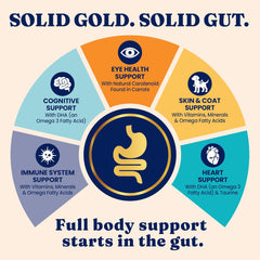 Solid Gold High Protein Dry Cat Food - Grain Free & Gluten Free Chicken Cat Dry Food w/Probiotics for Gut Health & Digestion - High Fiber & Omega 3 - Low Carb Superfood Kibble for Cats All Ages