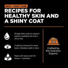 Go! Solutions Skin + Coat Care, Wet Cat Food, Salmon Pâté with Grains for Sensitive Skin, 6.4 oz