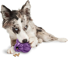 PetSafe Busy Buddy Barnacle - Dog Chew Toy - Treat Dispensing Dog Toys