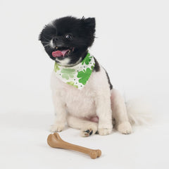 SPOT Bam-Bones Bone - Made with Strong Bamboo Fiber, Durable Long Lasting Dog Chew for Light to Moderate Chewers, Great Toy for Adult Dogs & Teething Puppies under 25lbs, Chicken Flavor