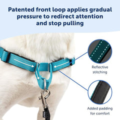 PetSafe Easy Walk Deluxe Dog Harness, No Pull Dog Harness – Perfect for Leash & Harness Training – Stops Pets from Pulling and Choking on Walks – Medium/Large