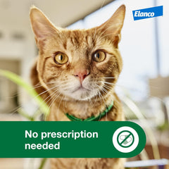 Advantage XD Cat Flea Prevention & Treatment For Cats | 1-Topical Dose, 2-Months of Protection Per Dose