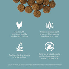 Go! Solutions Digestion + Gut Health, Dry Dog Food, Chicken Recipe with Ancient Grains