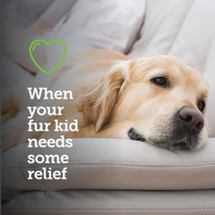 Canine Aspirin for Dogs | Fast Pain Relief | Large to X-Large Dogs | Liver Flavor | 120 Chewable Tablets