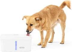 PetSafe Viva Pet Fountain for Cats and Dogs