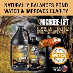 Microbe Lift 32-Ounce Pond Concentrated Extract Barley Straw MLCBSE1L
