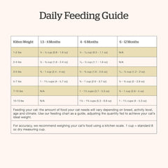 Now Fresh Grain-Free Dry Kitten Food with Turkey, Salmon & Duck, Healthy Kibble for Growing Cats with Real Meat & Fish, Chicken-Free, with Pumpkin & Probiotics for Sensitive Stomachs, 3 lb Bag