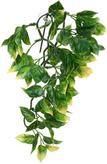 Exo Terra Plastic Terrarium Plant, Small, Amapallo