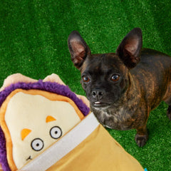 Barkbox 2-in-1 Interactive Plush Puzzle Dog Toys - Squeaky Pet and Puppy Enrichment Toys for Small, Medium, and Large Dogs | Brown Baggin' It PB&J