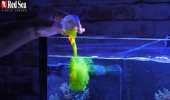 Red Sea Reef Energy Plus (AB+) All In One Coral Food for Saltwater Aquarium Marine Reef Tanks | Food for Soft, LPS, SPS, and Non-Photosynthetic Corals