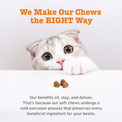 Zesty Paws Hairball Bites for Cats - Cat Furball Support - Functional Supplement with Omega 3 Fish Oil EPA & DHA + Zinc, Biotin & Psyllium Husk - Supports Gut & Skin Health - 60 Count