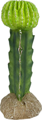Multi Pet 48593325: Komodo Cactus Plant Moon, 7.5In