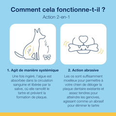 NaturVet ProDen PlaqueOff System Dental Care Bones for Dogs - Dog Breath Freshener & Plaque Remover - Dog Teeth Cleaning for a Healthy Mouth - Turkey Cranberry Flavor