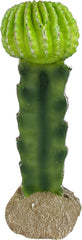 Multi Pet 48593325: Komodo Cactus Plant Moon, 7.5In