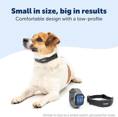 PetSafe NanoBark Collar - World's Smallest Bark Collar for Small and Medium Dogs, 10 Levels of Static Stimulation, Waterproof and Rechargeable Anti-Bark Training, Comfortable and Low-Profile Design