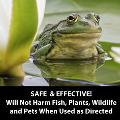 Fritz Aquatics Pond - Algae Clean Out Algaecide