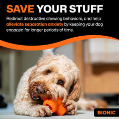 BIONIC Treat Star Dog Toy - High-Visibility Treat Dispenser, Great for Keeping Dogs Busy