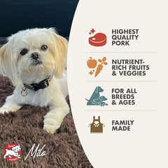 Fromm Diner Specials Slow-Cooked Pulled Pork Entrée in Gravy Dog Food - Premium Wet Dog Food - Pork Recipe - Case of 12 Cans