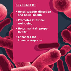 Nulo Functional Probiotics Dog Supplement, Made with prebiotic and probiotic to Help Support Dog Digestive and Bowel Health, 90 Soft Chews