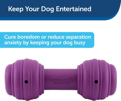 PetSafe Busy Buddy Chuckle Sound Dog Chew Toy - Treat Dispenser, BB-CHK, Purple,Medium/Large