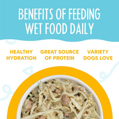 Weruva Meals 'n More Natural Wet Dog Food, Paw Lickin’ Chicken Plus Skin & Coat Health (Pack of 12)