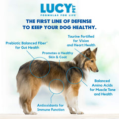 Lucy Pet Products Formulas for Life Duck, Pumpkin & Quinoa Dry Dog Food, All Life Stages, Digestive Health, Sensitive Stomach and Skin