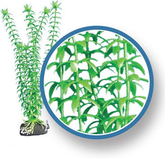 Freshwater Pro Series Tonina Ornament, 12"