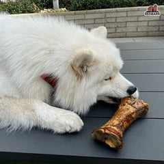 Redbarn Meaty Bones, All-Natural Single-Ingredient Chews, Great for Aggressive/Power Chewers 1 each
