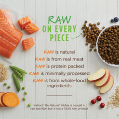 Instinct Be Natural Salmon & Brown Rice Dry Dog Food