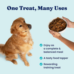 Solid Gold Air Dried Dog Food Toppers for Picky Eaters - Healthy Dog Treats Made with Real Chicken to Serve as Meal Topper or Dog Treat - Supports Muscle Growth, Immunity, and Healthy Digestion 1-lb