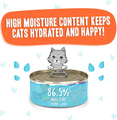 Weruva B.F.F. OMG - Best Feline Friend Oh My Gravy! Grain-Free Wet Cat Food Cans, Crazy 4 U! Chicken & Salmon (Pack of 8)