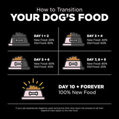 Go! Solutions Sensitivities Limited Ingredients, Grain-Free Dry Dog Food, Small Bites Salmon Recipe for Sensitive Stomach