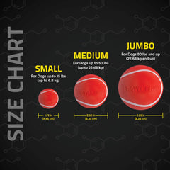 Playology Squeaky Chew Ball for Dogs | Engaging All-Natural Beef Scented Toy for Medium Dogs up to 50lbs | Squeak, Fetch, and Play