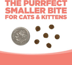 NutriSource Grain Free Cat & Kitten Ocean Select