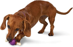 PetSafe® Busy Buddy® Bouncy Bone™, Treat Holding Dog Toy