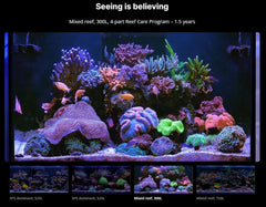 Red Sea Small 4-Part RCP Complete Reef Care Supplement Dosing System for Saltwater Mixed Reef Marine Aquariums for Optimal Coral Growth