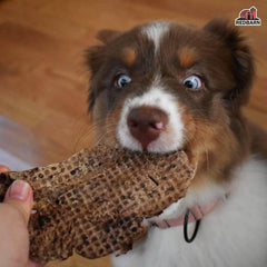 Redbarn Pet Products All-Natural Lamb Lung Filets for Dogs - Premium Grain-Free Single Ingredient Dental Treats - Made in USA with No Artificial Ingredients