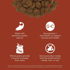 Go! Solutions Skin + Coat Care, Dry Dog Food, Large Breed Adult Salmon Recipe with Grains