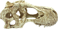 Komodo T-Rex Skull