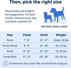 PetSafe Easy Walk No-Pull Dog Harness - The Ultimate Harness to Help Stop Pulling - Take Control & Teach Better Leash Manners - Helps Prevent Pets Pulling on Walks, Petite/Small